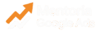 campanhagoogleads.com